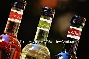 3、開發(fā)了一款52度瀘州產(chǎn)白酒，有什么銷售建議？