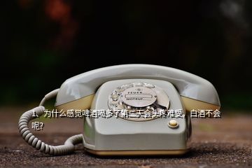 1、為什么感覺啤酒喝多了第二天會(huì)頭疼難受，白酒不會(huì)呢？