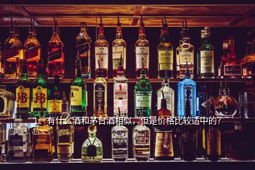 1、有什么酒和茅臺(tái)酒相似，但是價(jià)格比較適中的？