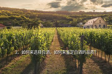 2、如何來選擇白酒，如何來鑒定白酒的品質(zhì)？
