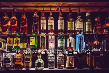 1、為什么啤酒能喝胖，而白酒卻不會(huì)？