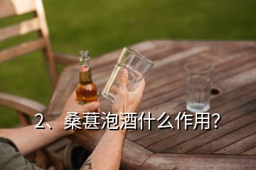 2、桑葚泡酒什么作用？