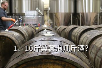 1、10斤桑葚泡幾斤酒？