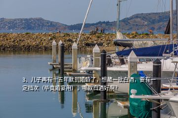 3、兒子再有十五年就到婚齡了，想藏一批白酒，要有一定檔次（畢竟婚宴用），哪款白酒好??？