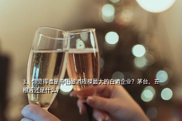 3、你覺得誰是中國釀酒規(guī)模最大的白酒企業(yè)？茅臺、五糧液還是什么？