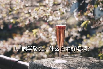 1、同學(xué)聚會(huì)，什么白酒好喝?。?></p><p>同學(xué)聚會(huì)，不知道你們是哪個(gè)年齡段的同學(xué)。但問題既然問了，說明你應(yīng)該年齡不大，喝的酒不夠多，各個(gè)地域也都有自己的酒，沒有辦法推薦。要說給你推薦<a href=