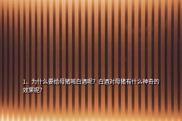 1、為什么要給母豬喝白酒呢？白酒對母豬有什么神奇的效果呢？