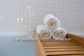 2、第一次請領(lǐng)導喝酒，五百左右的白酒有哪些推薦？