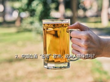 2、中國白酒“出?！睔W洲，歐洲人喝得慣嗎？