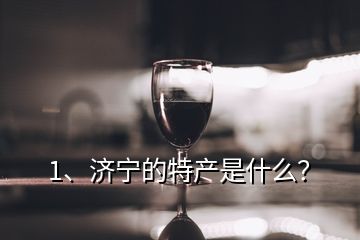 1、濟(jì)寧的特產(chǎn)是什么？