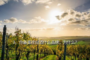 3、你最喜歡白酒什么品牌，為什么？