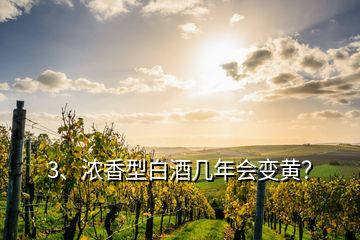 3、濃香型白酒幾年會變黃？