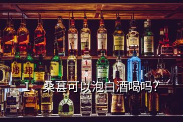 1、桑葚可以泡白酒喝嗎？