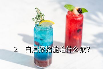 2、白酒擦豬能治什么??？