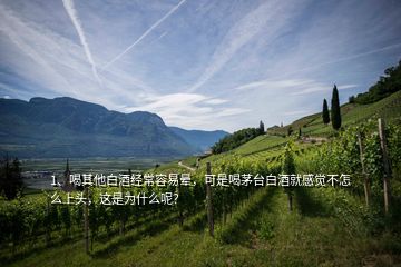 1、喝其他白酒經(jīng)常容易暈，可是喝茅臺白酒就感覺不怎么上頭，這是為什么呢？