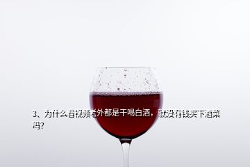 3、為什么看視頻老外都是干喝白酒，就沒(méi)有錢(qián)買(mǎi)下酒菜嗎？