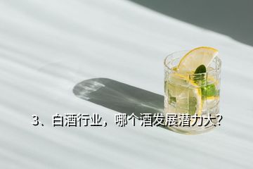 3、白酒行業(yè)，哪個酒發(fā)展?jié)摿Υ螅?></p><p>未來白酒消費向名酒品牌集中，向區(qū)域龍頭品牌集中，向品類代表品牌集中，總的來說，全國化會向百億級品牌集中，區(qū)域化品牌會50億級龍頭品牌集中。目前過百億的企業(yè)有10家：1、<a href=