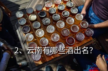 2、云南有哪些酒出名？