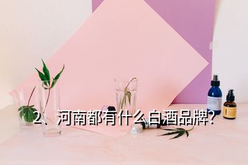 2、河南都有什么白酒品牌？