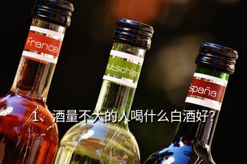 1、酒量不大的人喝什么白酒好？