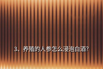 3、養(yǎng)殖的人參怎么浸泡白酒？