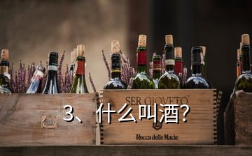 3、什么叫酒？