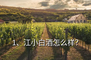 1、江小白酒怎么樣？