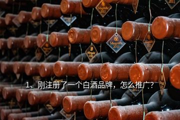 1、剛注冊了一個白酒品牌，怎么推廣？