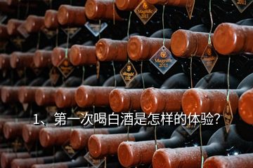 1、第一次喝白酒是怎樣的體驗(yàn)？