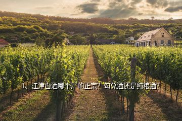 1、江津白酒哪個廠的正宗？勾兌酒還是純糧酒？