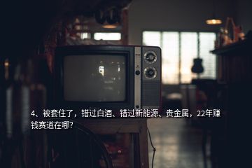 4、被套住了，錯過白酒、錯過新能源、貴金屬，22年賺錢賽道在哪？