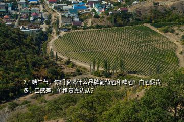 2、端午節(jié)，你們家喝什么品牌葡萄酒和啤酒？白酒假貨多，口感差，價(jià)格貴靠邊站？