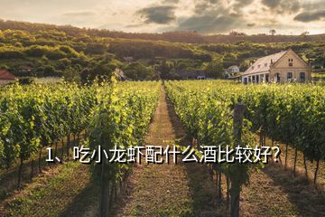 1、吃小龍蝦配什么酒比較好？