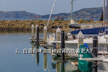 2、白酒和啤酒哪種對腎的傷害更大？