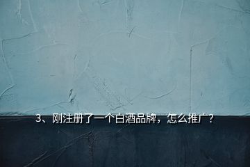 3、剛注冊(cè)了一個(gè)白酒品牌，怎么推廣？