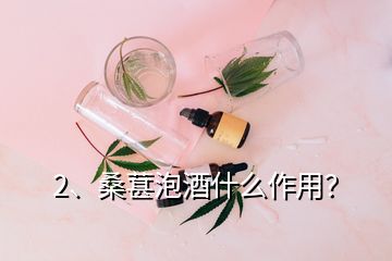 2、桑葚泡酒什么作用？