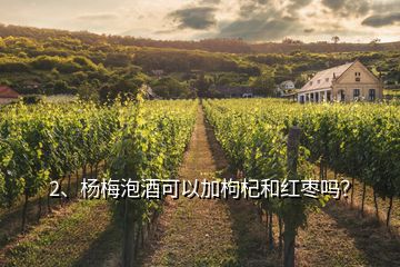 2、楊梅泡酒可以加枸杞和紅棗嗎？