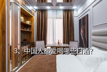 3、中國(guó)人都愛(ài)喝哪些白酒？