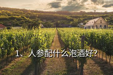 1、人參配什么泡酒好？