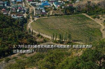 3、為什么農(nóng)村都喜歡喝散酒不喝瓶裝酒？到底是散酒好還是瓶裝酒好？