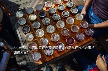 3、老五屆白酒國家評委齊聚洋河，白酒品評技術(shù)未來將如何發(fā)展？