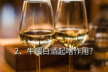 2、牛喂白酒起啥作用？