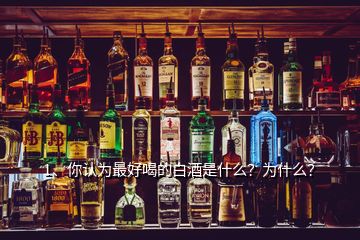 1、你認(rèn)為最好喝的白酒是什么？為什么？