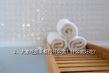 3、大家吃面條都打什么鹵？什么鹵好吃？