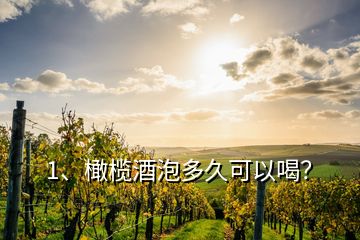 1、橄欖酒泡多久可以喝？