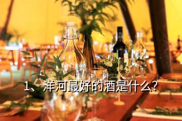 1、洋河最好的酒是什么？