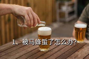 1、被馬蜂蜇了怎么辦？