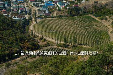 1、最近想給爸爸買點好的白酒，什么白酒好喝呢？