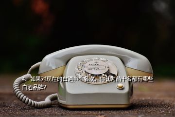 4、如果對現(xiàn)在的白酒排個名次，你認為前十名都有哪些白酒品牌？