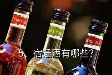 5、宿遷酒有哪些？